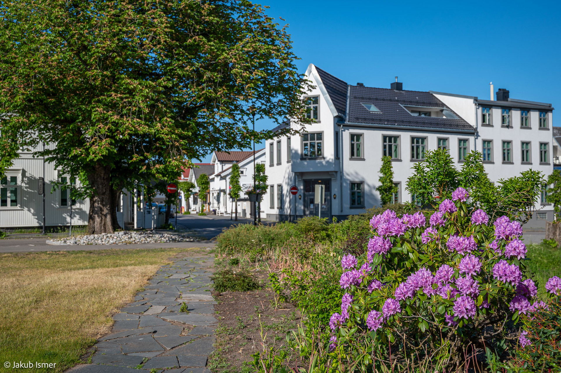 SKK-kunstnere i og rundt STAVERN SENTRUM